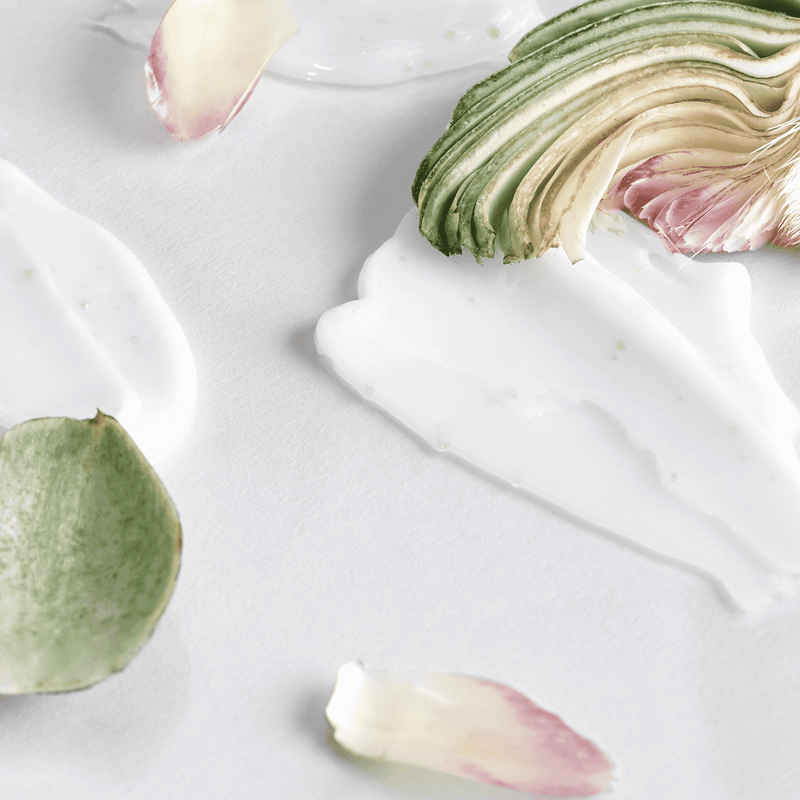 MOLVANY Artichoke Calming Care Soothing Cream (100ml) texture shot