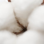 Addct Solid Perfume Naked Musk 103 (30g) SCENT MOOD