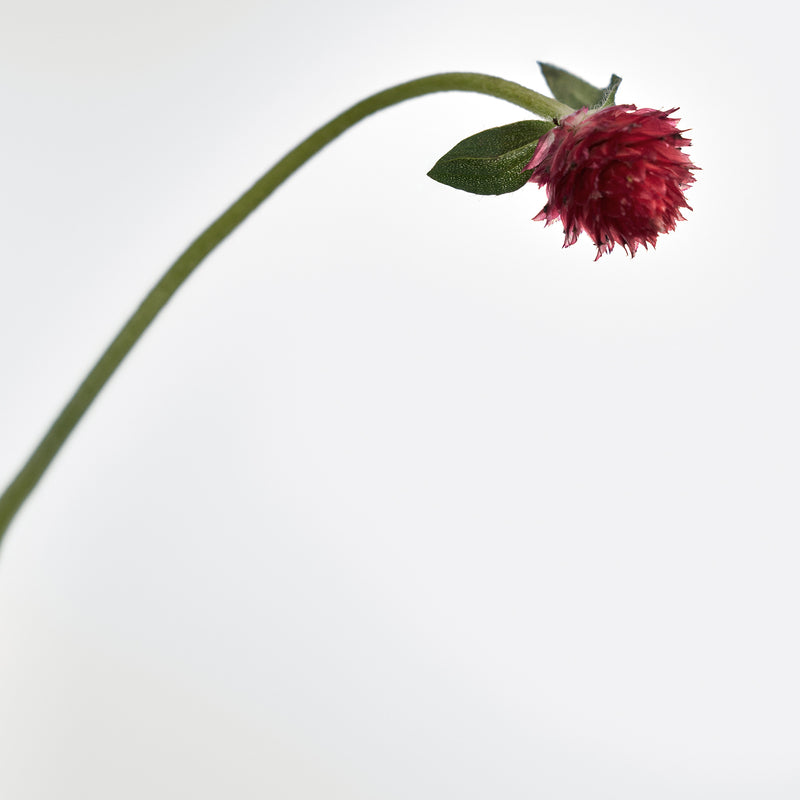 Addct Solid Perfume Naked Wild Flower 402 (30g)