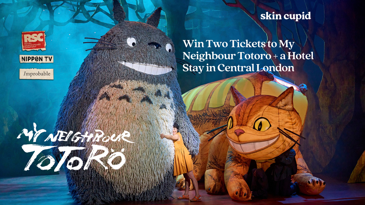 Skin Cupid × My Neighbour Totoro