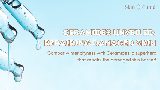 Ceramides Unveiled: A Path to A Stronger Skin Barrier