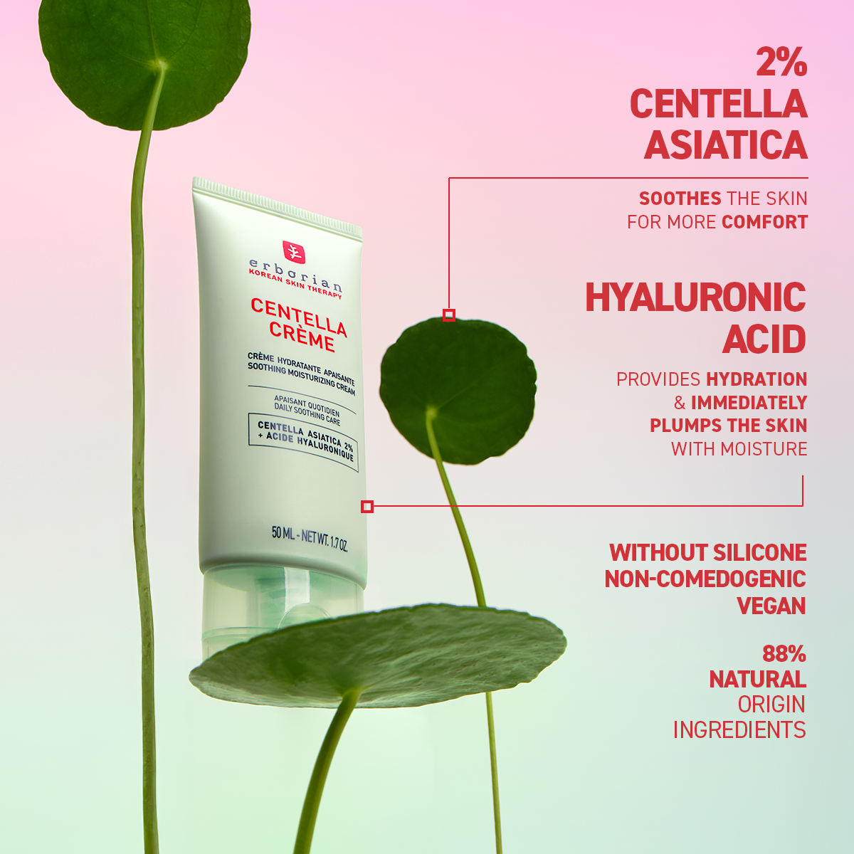Centella Creme (50ml)