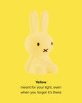 Mr Maria Miffy Colourful Surprise Collection lamp