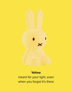 Mr Maria Miffy Colourful Surprise Collection lamp