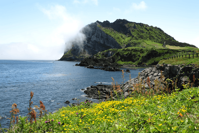 <strong>win a trip for two to Jeju Island</strong>