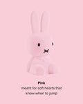 Mr Maria Miffy Colourful Surprise Collection lifestyle shot