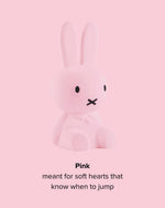 Mr Maria Miffy Colourful Surprise Collection lifestyle shot