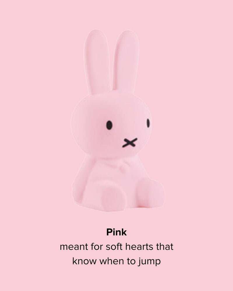 Mr Maria Miffy Colourful Surprise Collection lifestyle shot