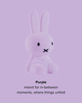 Mr Maria Miffy Colourful Surprise Collection styled