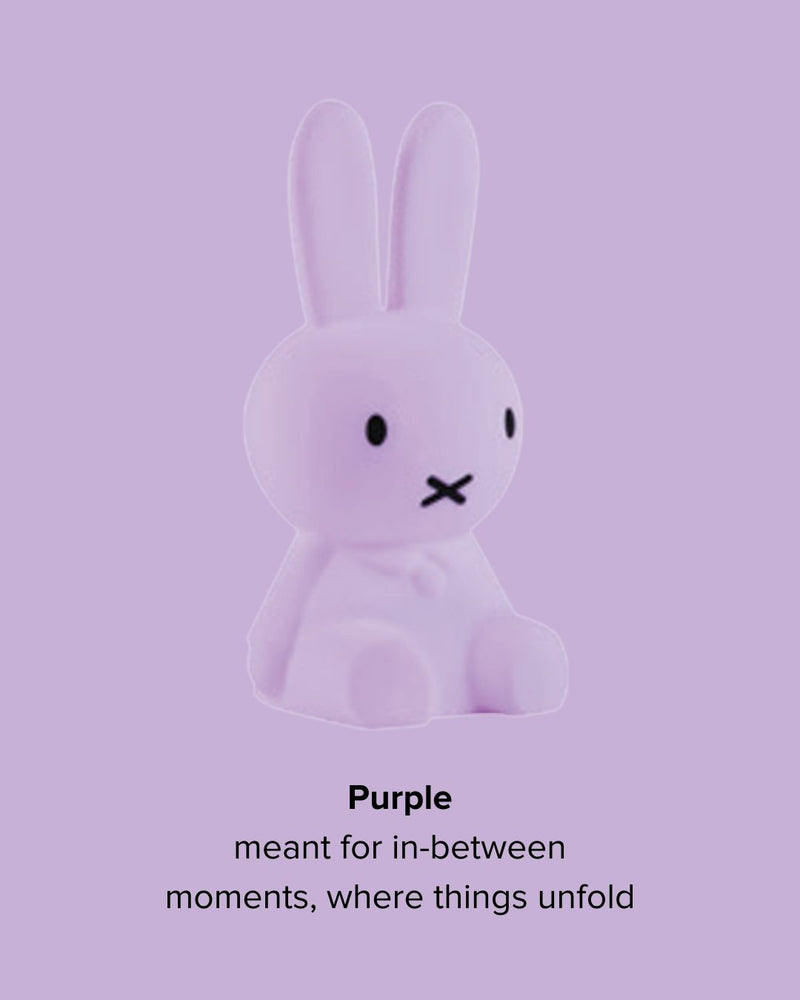 Mr Maria Miffy Colourful Surprise Collection styled