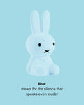 Miffy Colourful Surprise Collection