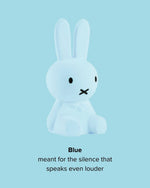 Miffy Colourful Surprise Collection