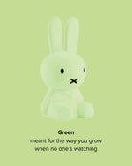 Miffy Colourful Surprise Collection