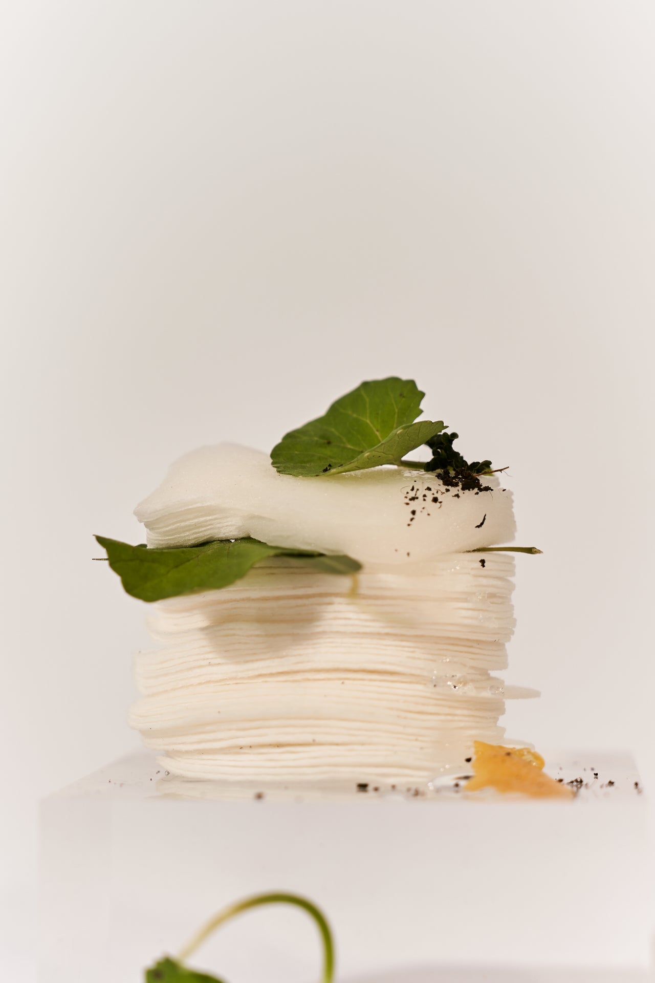 Centella 3% PHA Gentle Liquid Exfoliating Serum