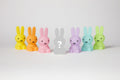 Mr Maria Miffy Colourful Surprise Collection shades