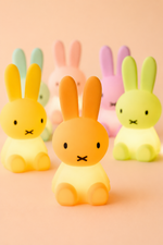 Mr Maria Miffy Colourful Surprise Collection product details