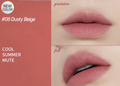 ETUDE HOUSE Fixing Tint (11 Colours) 4g 08 Dusty Beige