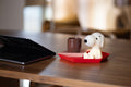 Mr Maria Snoopy Bundle of Light lamp glowing