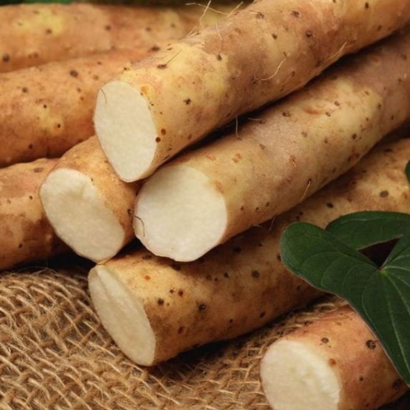 ISNTREE Yam Root Vegan Milk Cream (80ml) ingredients