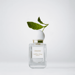 Matthew Chang Essayist Eau de Toilette (30ml) INGREDIENTS